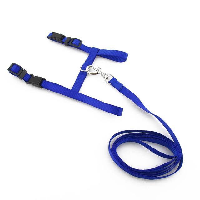 Adjustable Cat Dog Collar Belt - Womenwares.com