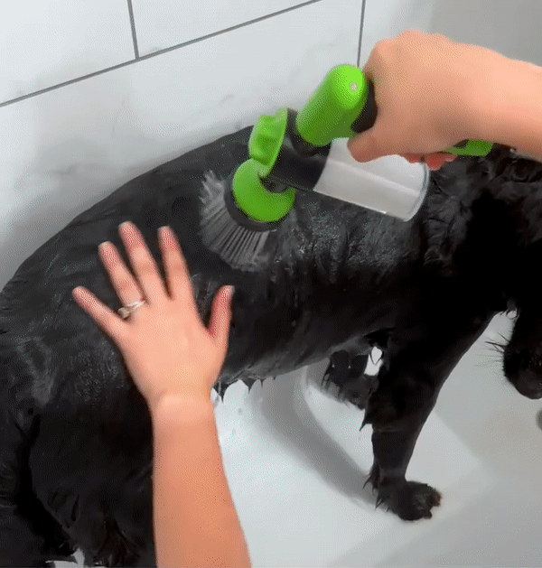 The Original Pup Jet - Womenwares