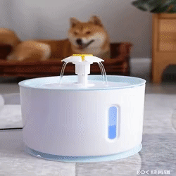Pet Drinking Fountain Dispenser - Womenwares.com