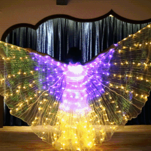 butterfly wings costume - Womenwares.com
