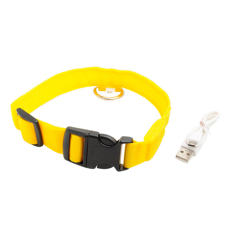 LED DOG COLLAR - Womenwares.com