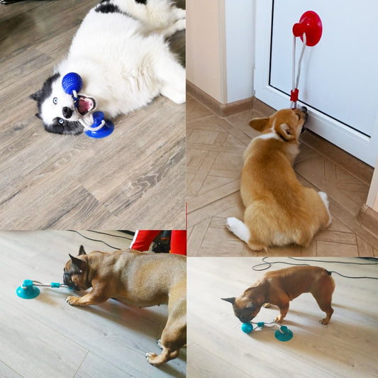 Suction cup dog toy tug of war - Womenwares.com