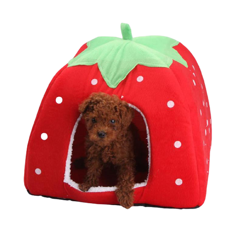 Pet Cat Bed Indoor Kitten House - Womenwares.com
