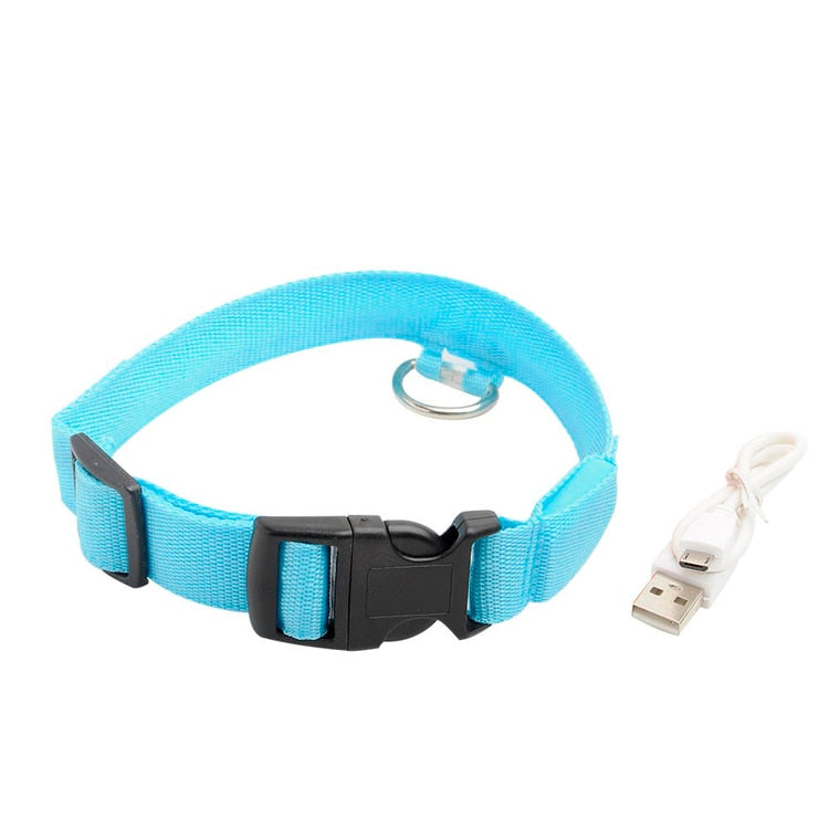 LED DOG COLLAR - Womenwares.com