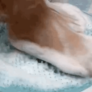 Shower Massage Pad - Womenwares.com