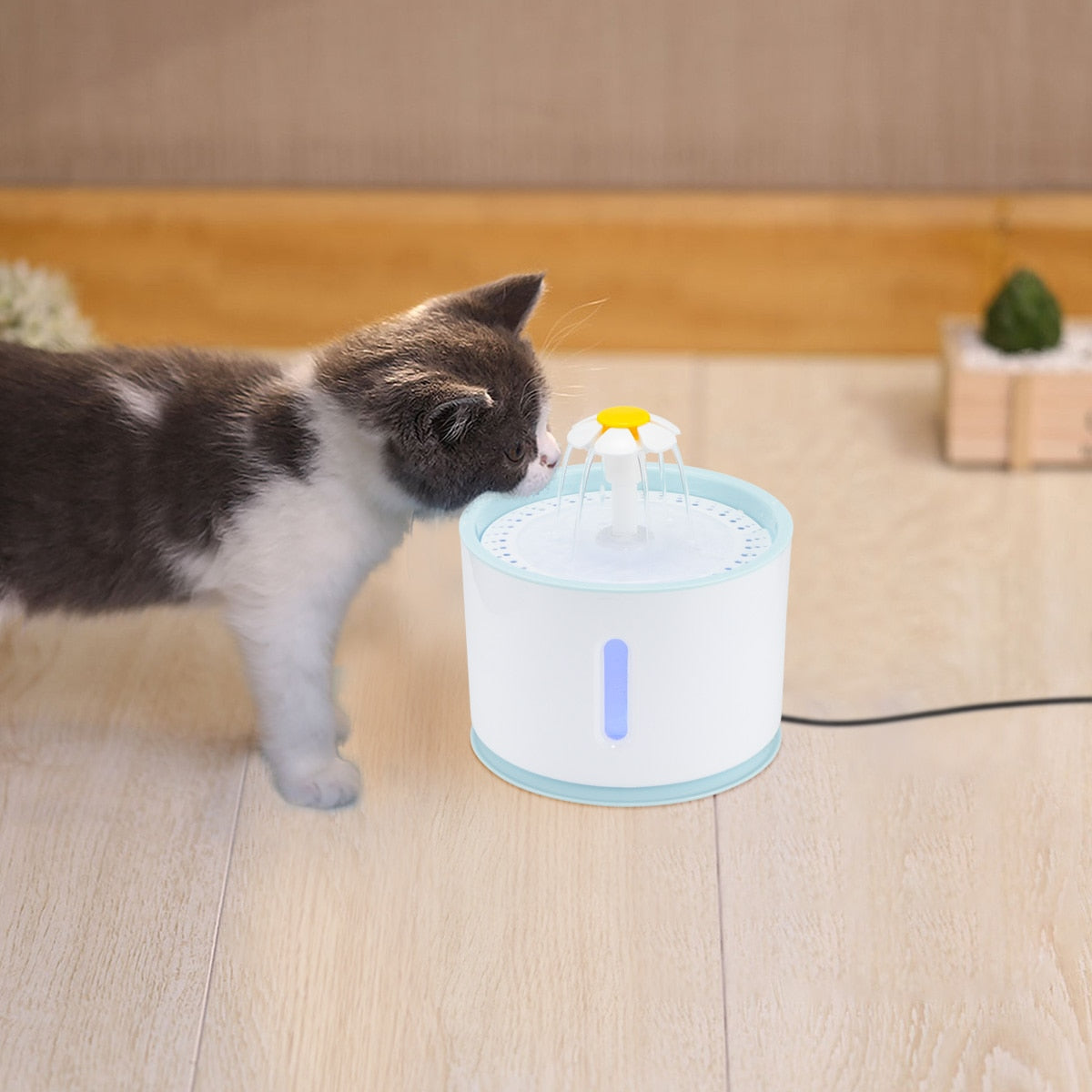 Pet Drinking Fountain Dispenser - Womenwares.com