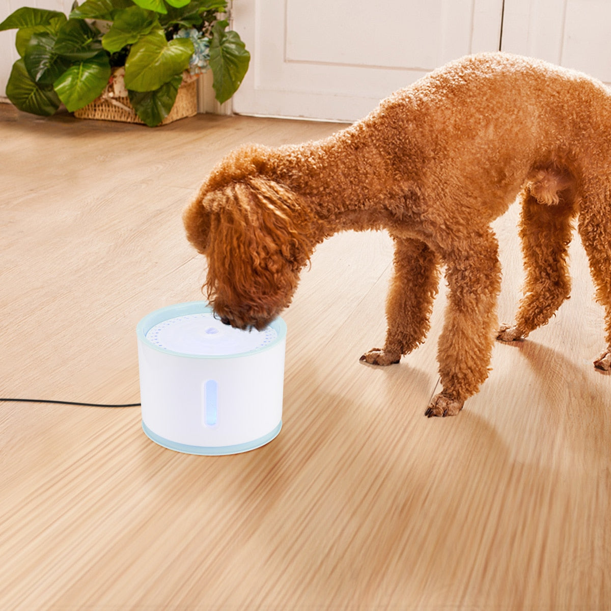 Pet Drinking Fountain Dispenser - Womenwares.com