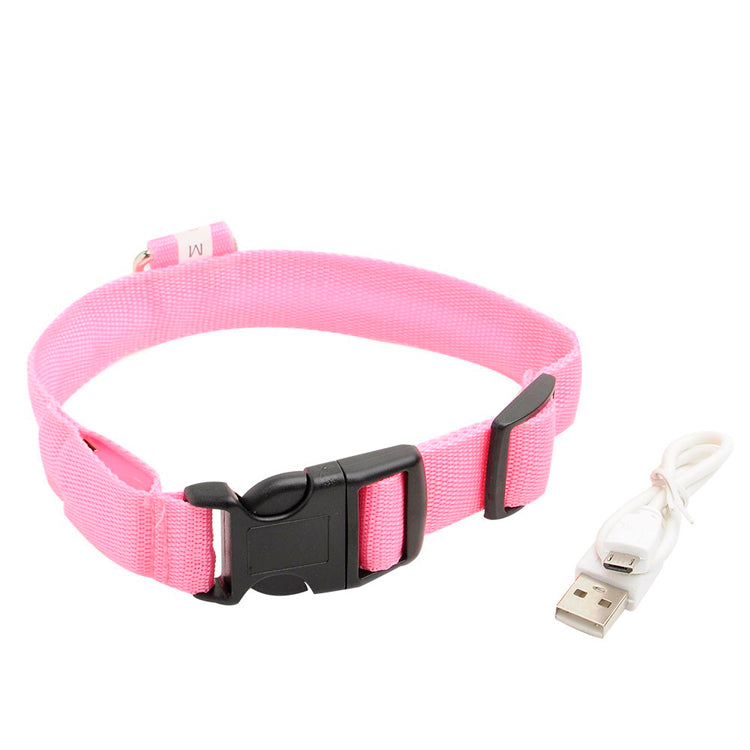 LED DOG COLLAR - Womenwares.com
