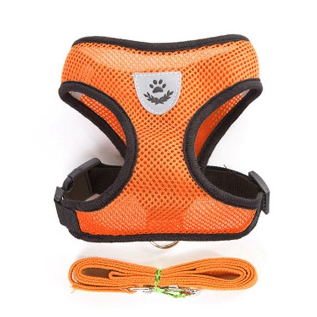 Breathable Small Dog Pet Harness and Leash Set - Womenwares.com
