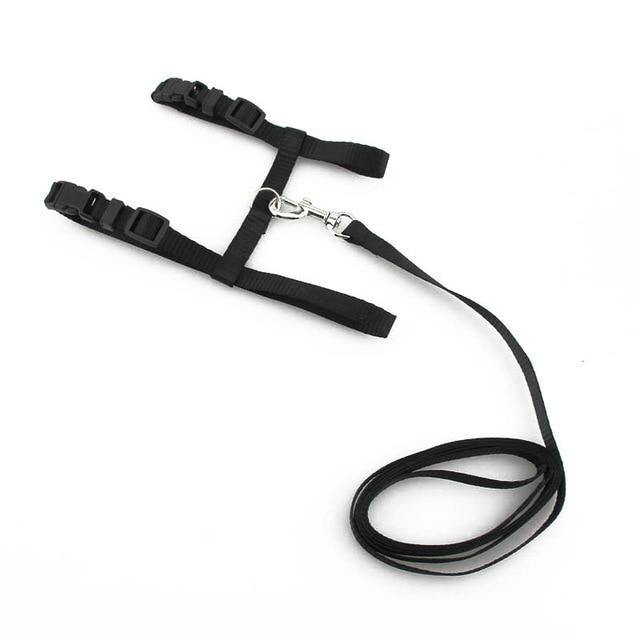 Adjustable Cat Dog Collar Belt - Womenwares.com