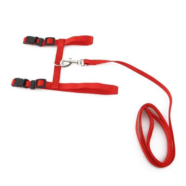Adjustable Cat Dog Collar Belt - Womenwares.com