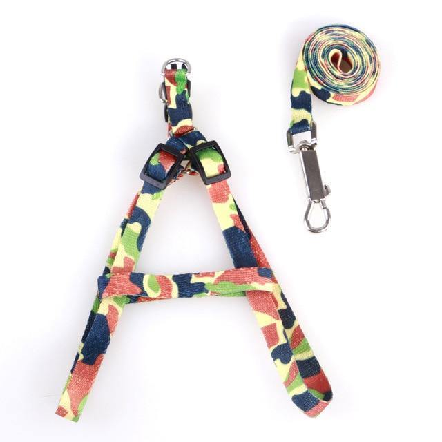 Adjustable Cat Dog Collar Belt - Womenwares.com