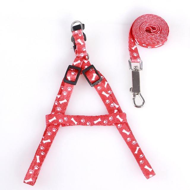 Adjustable Cat Dog Collar Belt - Womenwares.com