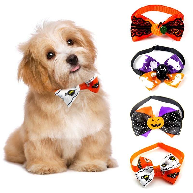 Adjustable Cat Dog Collar Belt - Womenwares.com