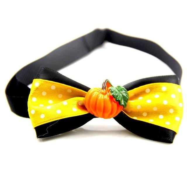 Adjustable Cat Dog Collar Belt - Womenwares.com