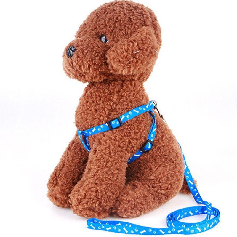 Adjustable Cat Dog Collar Belt - Womenwares.com