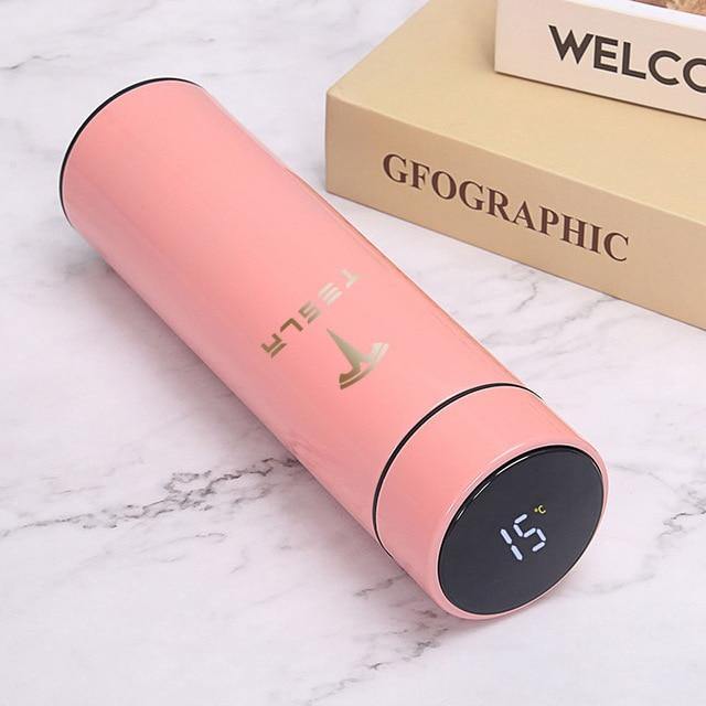 tesla accessories