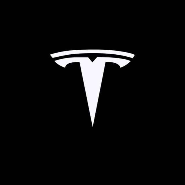 custom puddle lights tesla