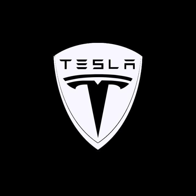 tesla model 3 2021 puddle lights