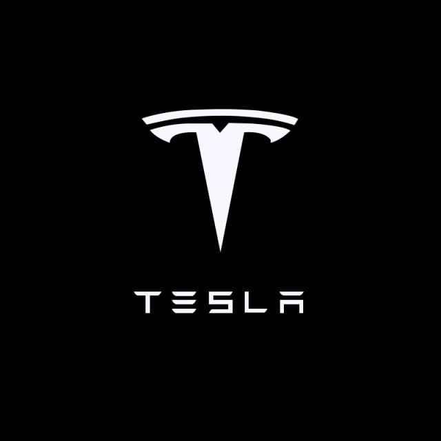 custom puddle lights tesla