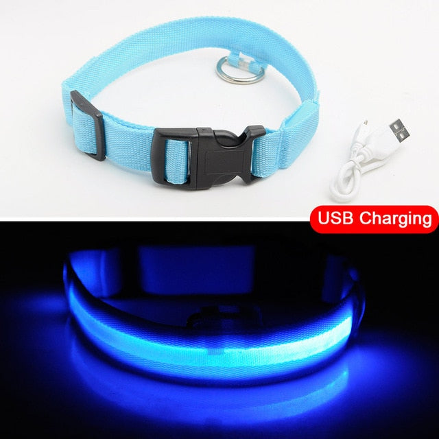 LED DOG COLLAR - Womenwares.com