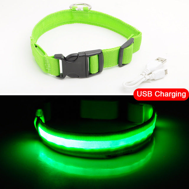 LED DOG COLLAR - Womenwares.com