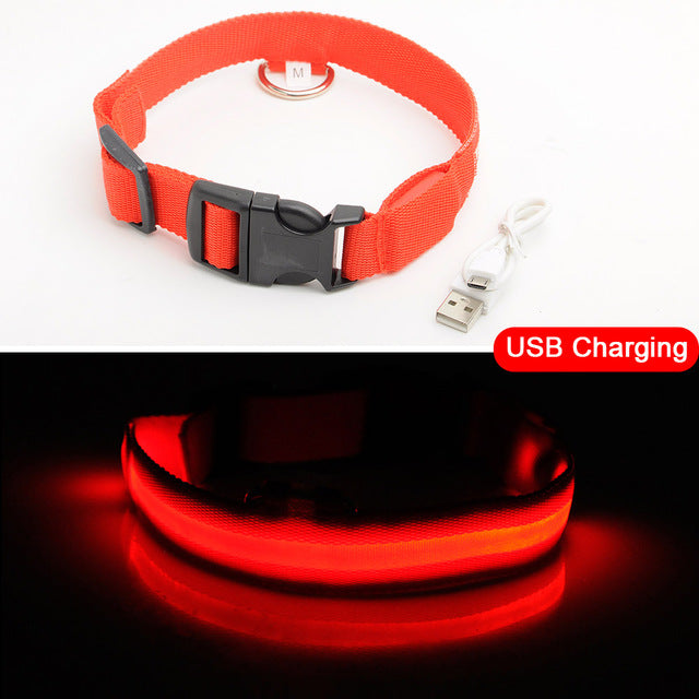 LED DOG COLLAR - Womenwares.com
