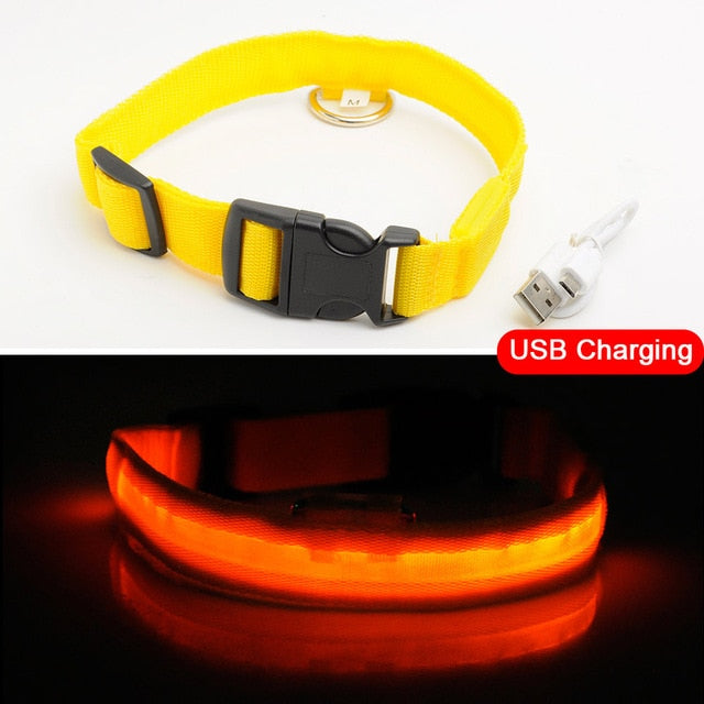 LED DOG COLLAR - Womenwares.com