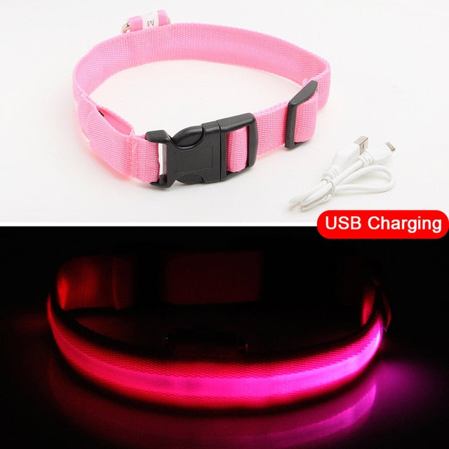 LED DOG COLLAR - Womenwares.com