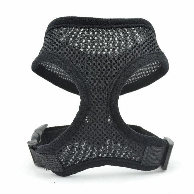 Breathable Small Dog Pet Harness and Leash Set - Womenwares.com