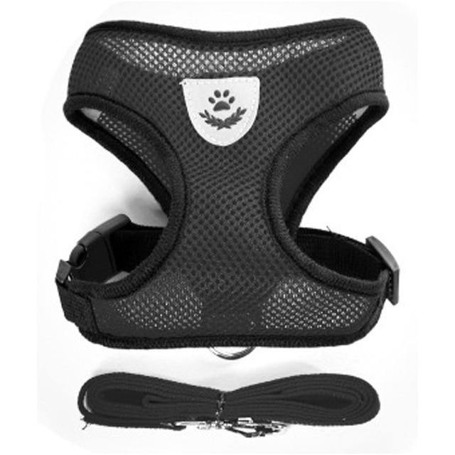 Breathable Small Dog Pet Harness and Leash Set - Womenwares.com