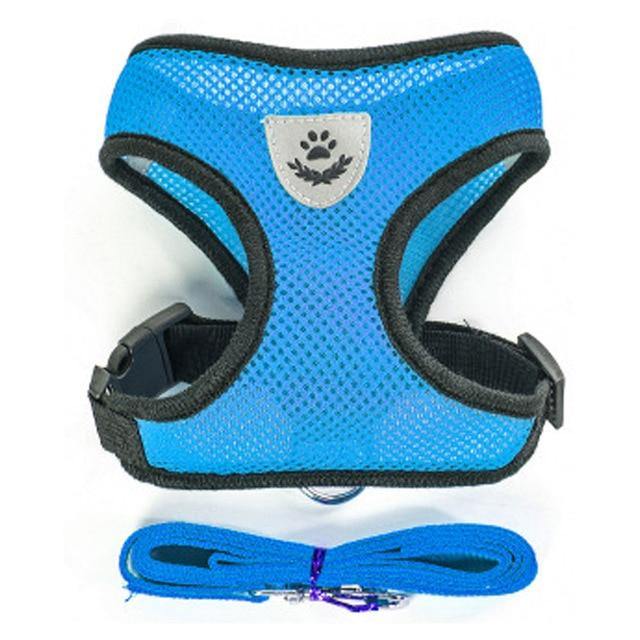 Breathable Small Dog Pet Harness and Leash Set - Womenwares.com