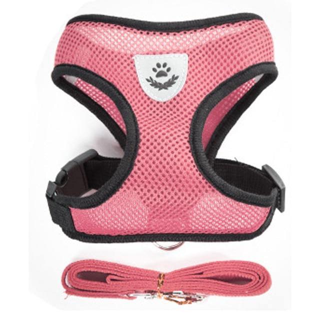 Breathable Small Dog Pet Harness and Leash Set - Womenwares.com