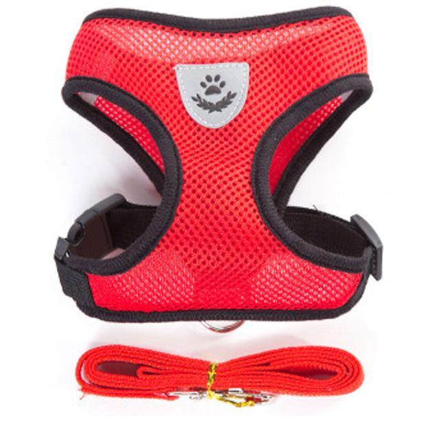 Breathable Small Dog Pet Harness and Leash Set - Womenwares.com