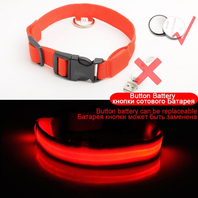 LED DOG COLLAR - Womenwares.com