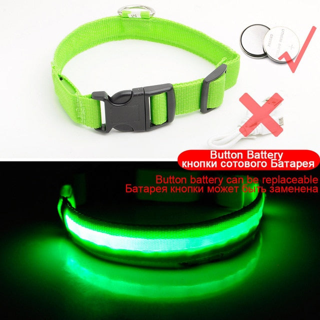 LED DOG COLLAR - Womenwares.com