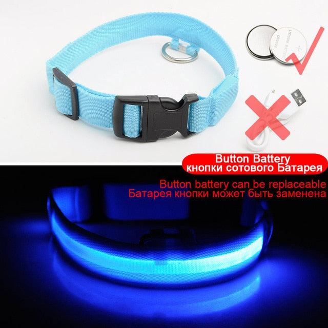 LED DOG COLLAR - Womenwares.com