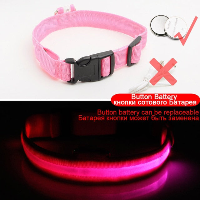 LED DOG COLLAR - Womenwares.com