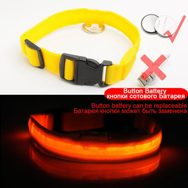 LED DOG COLLAR - Womenwares.com